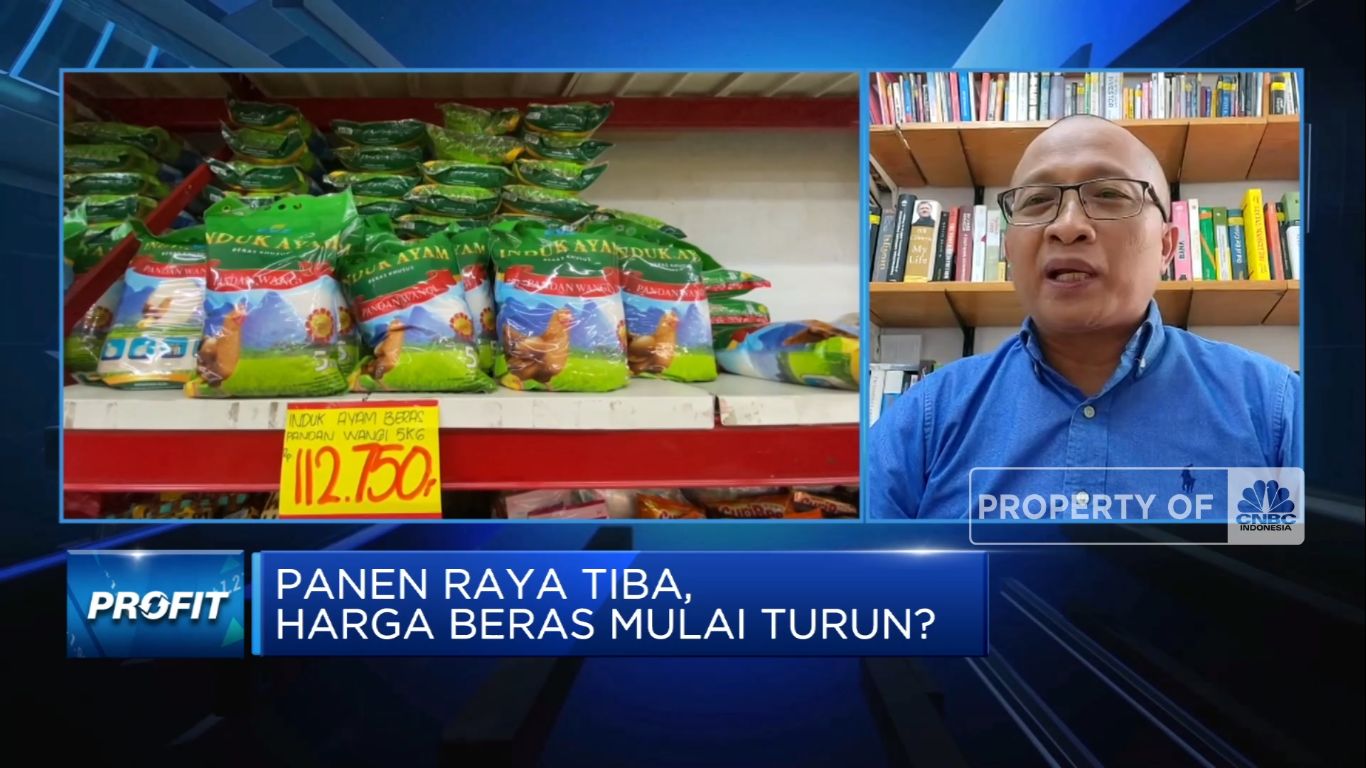 Tak Dapat Beras Bulog, Pedagang Pasar Sulit Jual Beras Murah (վ TV)