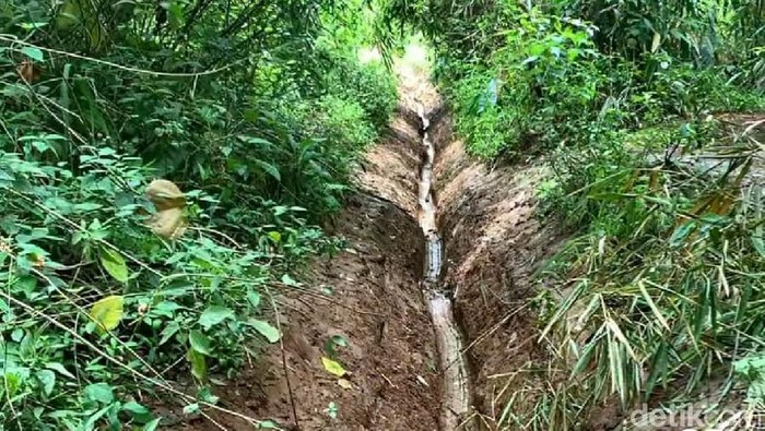 Unggahan Tahura Djuanda rusak dihajar motor trail