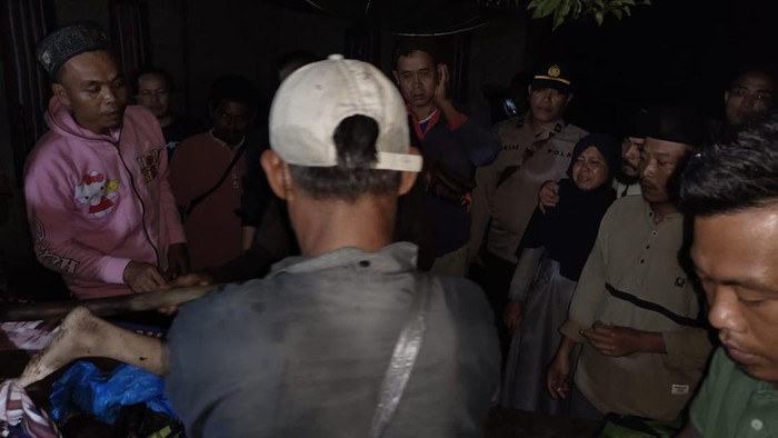 Warga Lampung Barat tewas setelah diserang harimau.
