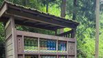 10 Inovasi Makanan di Jepang yang Unik dan Bikin Penasaran, Mau Coba?