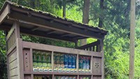 Bahkan, di tengah-tengah alam saja kamu bisa menemukan mesin makanan otomatis seperti ini. Di dalam mesin otomatis berlapis kayu itu, kamu bisa jajan aneka minuman loh. Foto: boredpanda.com/sitenews
