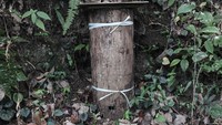 Hal ini sebagai salah satu langkah untuk membantu mengatasi penurunan kualitas lingkungan akibat aktivitas masyarakat dalam memenuhi kebutuhan hidup dengan hasil hutan.