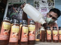 Berdaya dan Mandiri dalam Kokolomboi Lestari