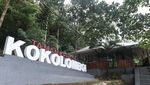 Berdaya dan Mandiri dalam Kokolomboi Lestari