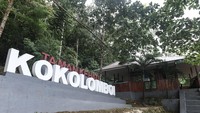 Untuk memenuhi kebutuhan pasar saat ini kelompok budi daya lebah madu Kokolomboi telah terafiliasi dengan 245 anggota dengan kemampuan produksi madu sebesar 8.400 liter per tahunnya sehingga menjadi mata pencaharian masyarakat dari yang sebelumnya menjual kayu hasil hutan dan berburu satwa.