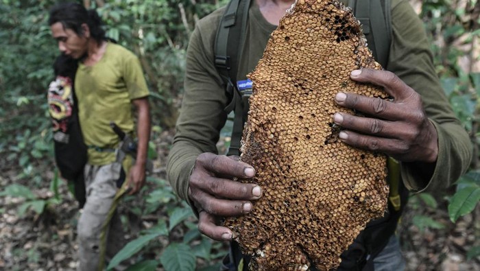 Berdaya dan mandiri dalam Kokolomboi Lestari Foto udara perkampungan masyarakat adat Togong Tanga di Dusun Kokolomboi, Desa Leme-Leme Darat, Kabupaten Banggai Kepulauan, Sulawesi Tengah.