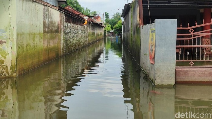 Banjir di gang dan jalan Dukuh Kedungbanteng, Desa Wonorejo, Kecamatan Karanganyar, Demak, Jumat (23/2/2024).
