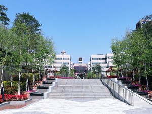 10 Universitas Kecil Terbaik di Dunia 2024 Versi Times Higher Education