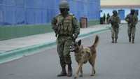 Militer Ekuador juga menugaskan sejumlah anjing penjaga untuk mengamankan penjara.  