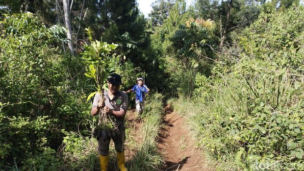 Potret kerusakan lahan di Tahura Djuanda akibat digilas motor trail
