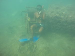 Pesona Wisata Taman Laut di Pantai Pangandaran