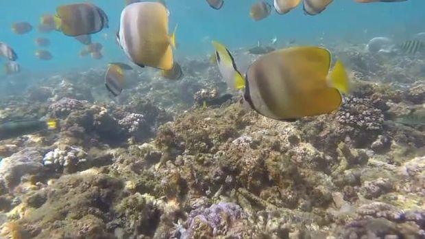 Potret Taman Laut Pasir Putih Pangandaran