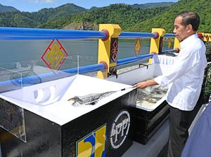 Jelang Masa Jabatan Jokowi Berakhir, 28 Bendungan Dibangun!