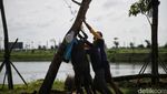 Progres PIK 2, Kota Baru Nempel Jakarta