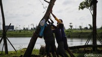 Lokasi PIK 2 menempel persis dengan kawasan Kamal Muara, Jakarta Utara. 