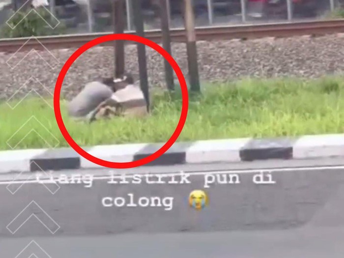 Rekaman video viral 2 orang yang didiuga mencuri tiang listrik