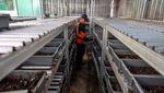 Rumah Maggot Mampu Kurangi 151 Ton Sampah Organik/Hari