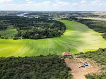 Saat Sungai di Afsel Dipenuhi Selada Air, Indah Tapi Merusak