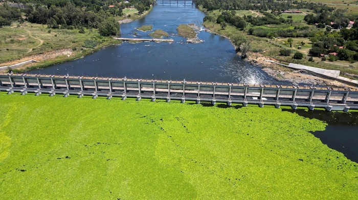 Saat Sungai di Afsel Dipenuhi Selada Air, Indah Tapi Merusak A drone view shows a