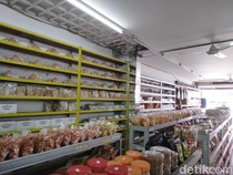 Berburu Oleh-oleh Khas Cirebon di Toko Sumber Jaya