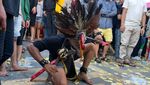 Ekstrem Ritus Tatung Ditusuk Benda Tajam untuk Tolak Bala Jelang Cap Go Meh