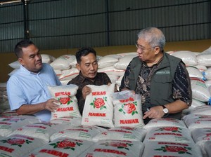 Bos Bulog Tinjau Panen di Blora, 100 Ton Beras Siap Disebar ke Pasar-Ritel Modern