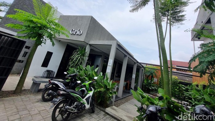 Grio Caffe Bekasi, kafe minimalis penuh tumbuhan hijau di Bekasi.
