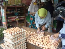 Harga Telur di Lamongan Terus Meroket Tembus Rp 31 Ribu Per Kilogram
