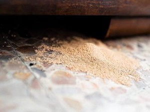 Ada Serbuk Kayu di Lantai Rumah? Waspada Rayap dan Semut Kayu