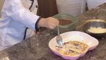 Momen Gemas Ameena Rayakan Ulang Tahun hingga Ikut Lomba Makan Kerupuk