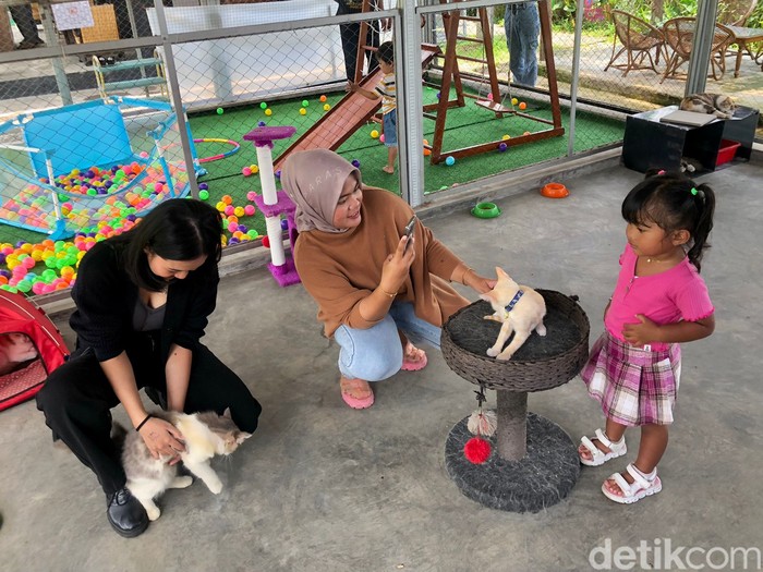 Taman Harmoni di Malang menghadirkan konsep unik di mana pengunjung kafe bisa bermain dengan berbagai satwa
