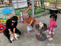 Serunya Cicipi Kuliner Lezat Ditemani Berbagai Satwa Menggemaskan di Malang