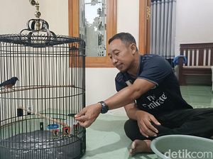Guru di Probolinggo Raup Cuan Puluhan Juta Dari Ternak Burung Murai Medan