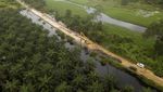 Jalan Lintas Jambi-Suak Kandis Terputus Gegara Banjir