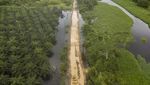 Jalan Lintas Jambi-Suak Kandis Terputus Gegara Banjir
