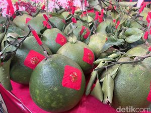 Buah Mahal Cuma di Jepang? Di Singkawang, Jeruk Bali Ini Nyaris Rp 7 Juta