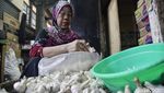 Kerja Keras Buruh Pengupas Bawang Putih