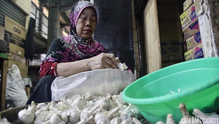Menjadi buruh pengupas bawang putih merupakan salah satu mata pencarian sejumlah warga setempat. Seperti ibu-ibu yang ada di Pasar Senen ini.