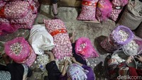 Para pekerja mampu mengupas hingga 60kg bawang putih setiap hari.