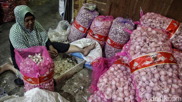 Kerja Keras Buruh Pengupas Bawang Putih