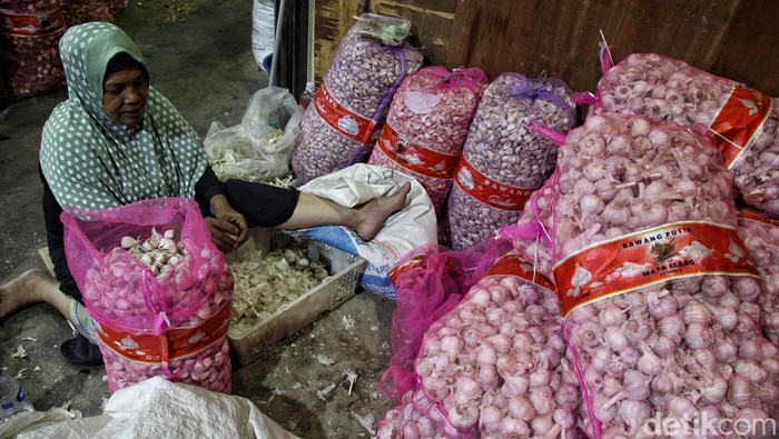 Menjadi buruh pengupas bawang putih merupakan salah satu mata pencarian sejumlah warga setempat. Seperti ibu-ibu yang ada di Pasar Senen ini.