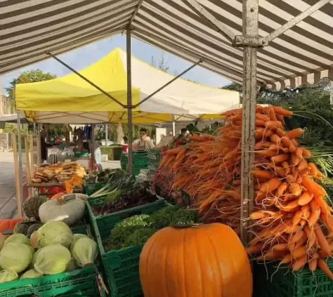 Kisah sukses mantan insinyur yang menjadi petani sayur di Swiss