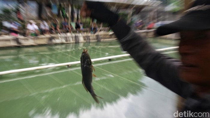 Mengisi libur akhir pekan, para pekerja memanfaatkan dengan memancing ikan di empang buatan di sungai Kanal Banjir Barat. Begini potretnya.