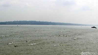 Serunya Lomba Renang Selat Madura di Surabaya