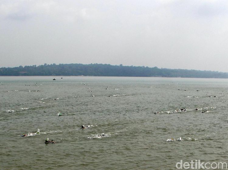 Serunya Lomba Renang Selat Madura di Surabaya