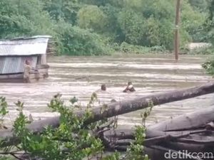 Dramatis, 1 Keluarga Terjebak Banjir Selamat Berkat Suara Bebek Berenang