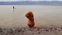 Danau tersebut terletak di Badwater Basin, yang merupakan titik terendah di Amerika Utara pada 282 kaki di bawah permukaan laut.  