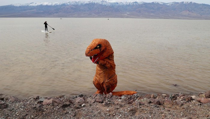 Garrett Dong, of Ventura, California, stands in an inflatable dinosaur costume at Lake Manly, a temporary lake formed by heavy rainstorms, at Death Valley National Park, California, U.S., February 24, 2024. The lake is located at Badwater Basin, which is the lowest point in North America at 282 feet below sea level. REUTERS/Ronda Churchill