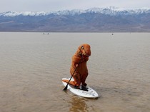 Aksi Dinosaurus Mendayung Kano di Titik Terendah Amerika Utara