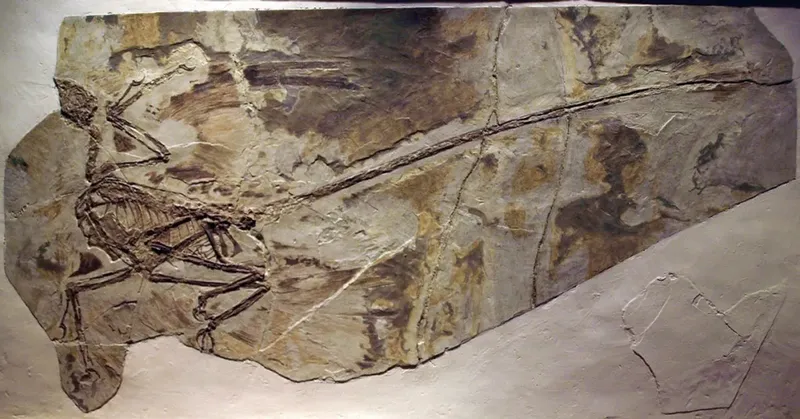 Fosil dinosaurus